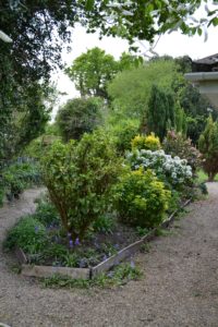 Sensory Garden - with wide gravel paths